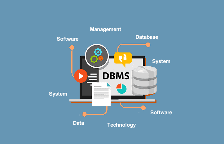 How to Choose the Right Database Management System for Your Business